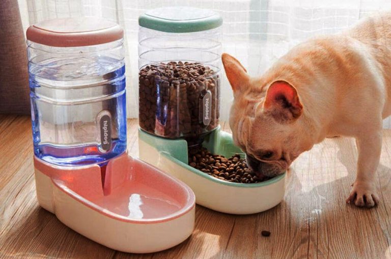 7 Major Benefits Of An Automatic Dog Water Bowl For Your Pet